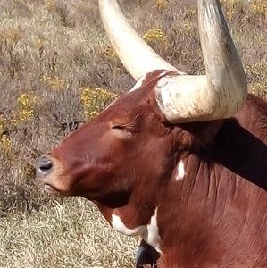 Meet your Posher, Raymond